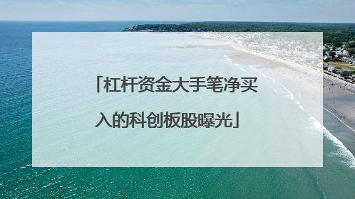 杠杆资金大手笔净买入的科创板股曝光